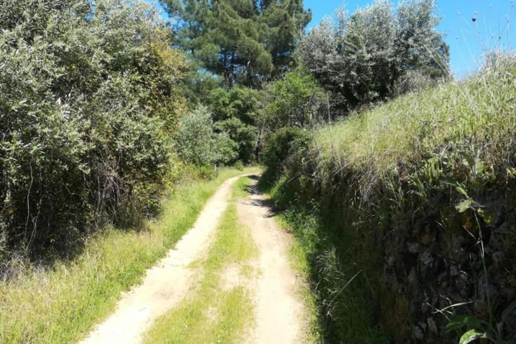 فيلا Casa Da Ruiva Serra المظهر الخارجي الصورة
