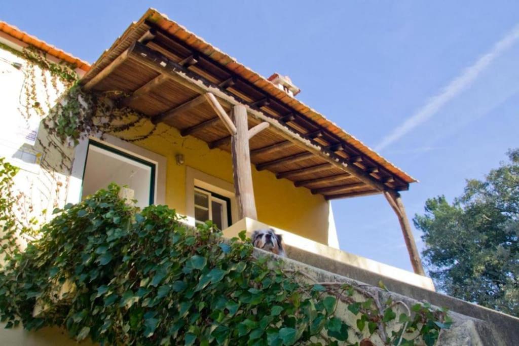 فيلا Casa Da Ruiva Serra المظهر الخارجي الصورة