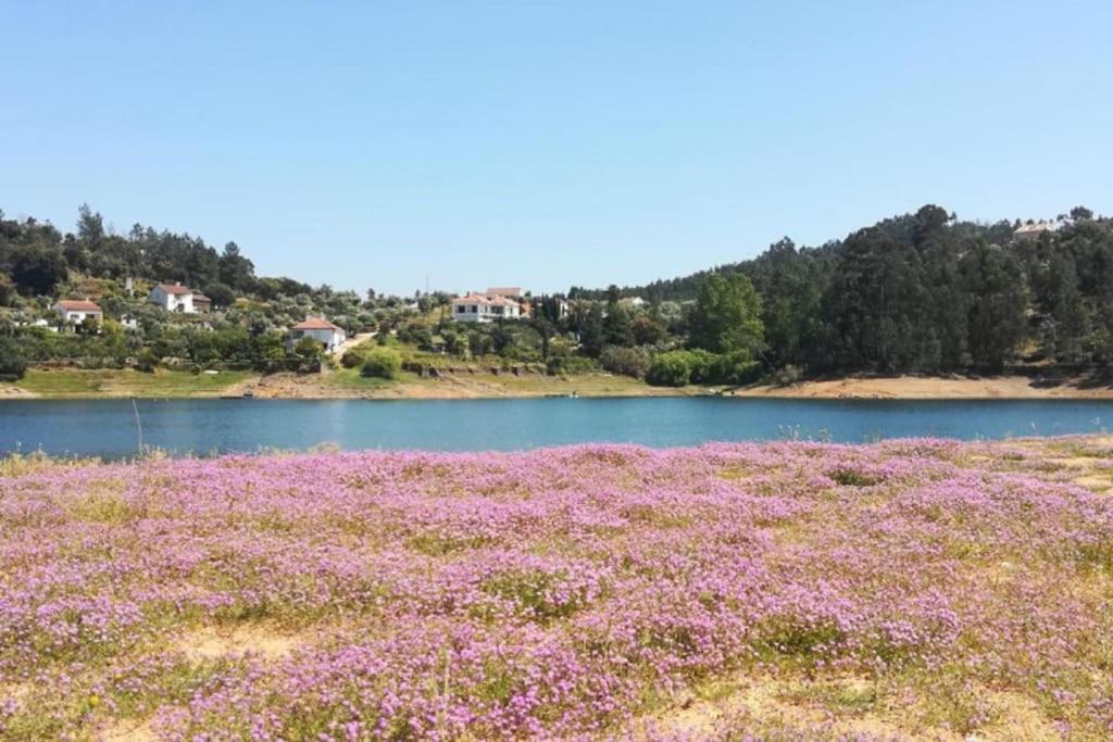 فيلا Casa Da Ruiva Serra المظهر الخارجي الصورة