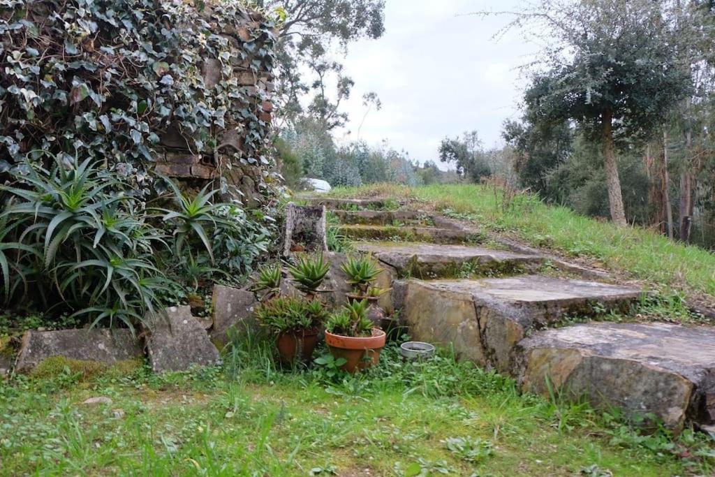 فيلا Casa Da Ruiva Serra المظهر الخارجي الصورة